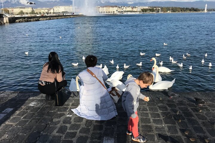 Best of Geneva City Tour with optional boat cruise