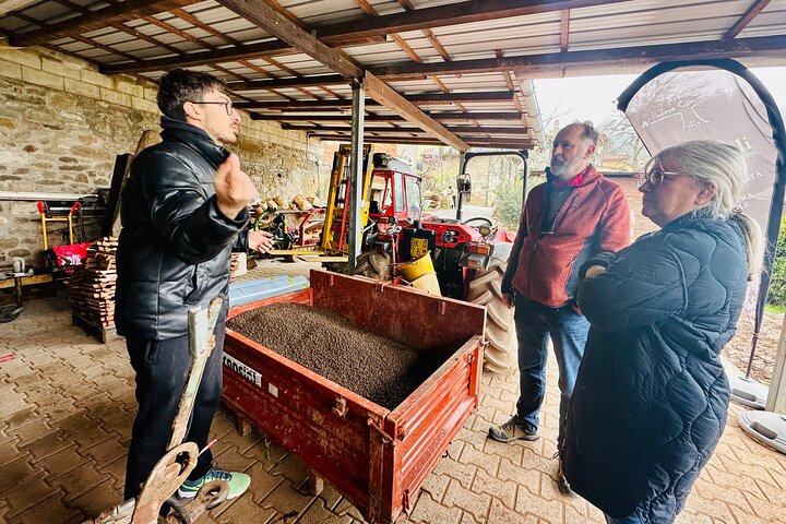 Guided tours of the olive grove with oil tasting.