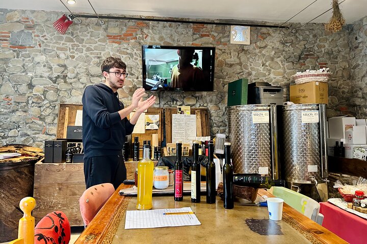 Guided tours of the olive grove with oil tasting.