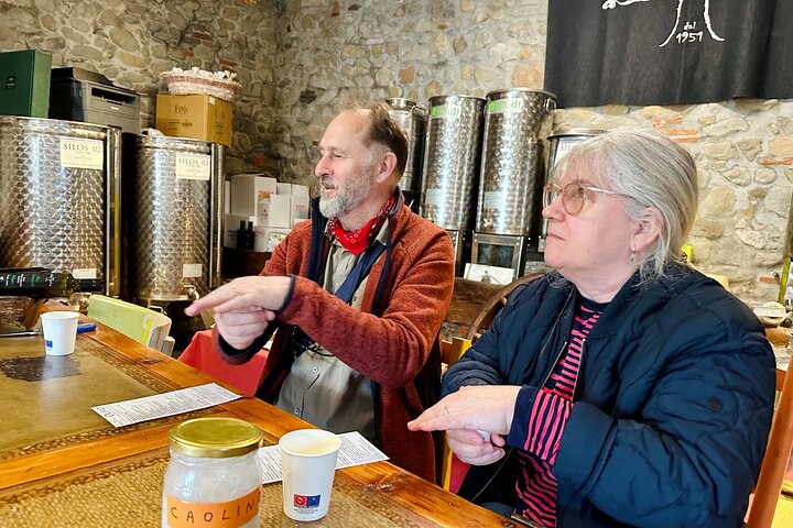 Guided tours of the olive grove with oil tasting.