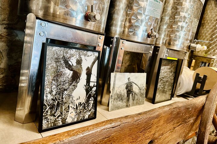Guided tours of the olive grove with oil tasting.
