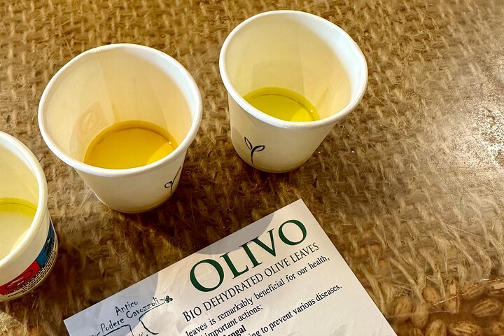 Guided tours of the olive grove with oil tasting.