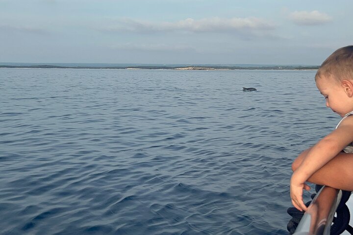 Dolphin Watching & Sunset Boat Tour With Drinks & optional Dinner