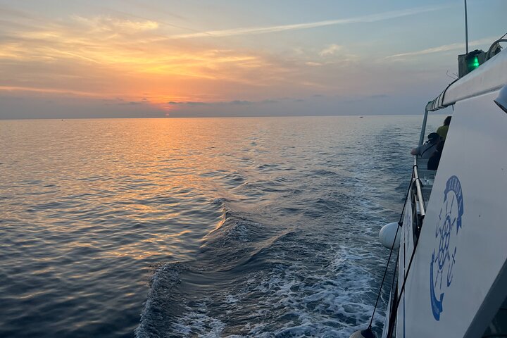 Dolphin Watching & Sunset Boat Tour With Drinks & optional Dinner