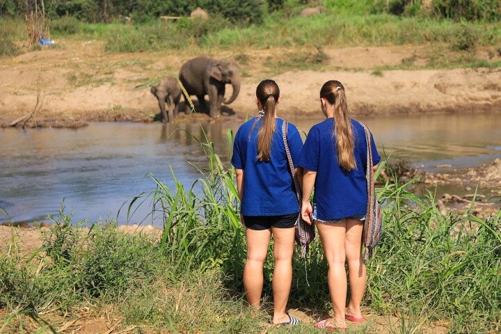 3-in-1: Doi Inthanon Tour, Elephant Sanctuary, and Trekking Trail
