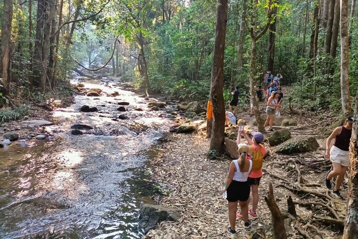3-in-1: Doi Inthanon Tour, Elephant Sanctuary, and Trekking Trail