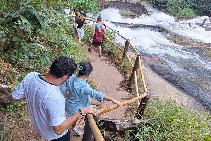 3-in-1: Doi Inthanon Tour, Elephant Sanctuary, and Trekking Trail