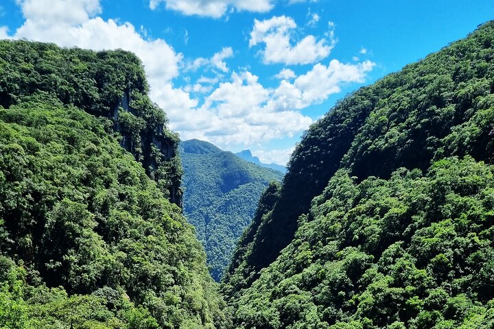 Scenic Train ride to historical cities of Morretes and Antonina