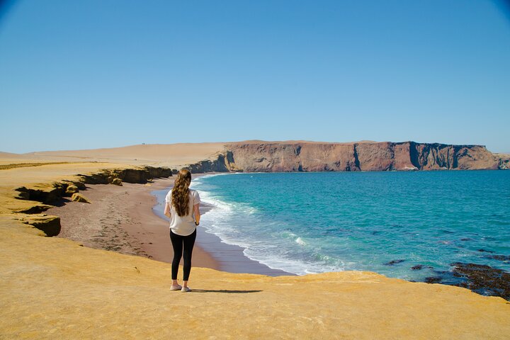 Paracas: ATV/Quad Bike or Buggy on Paracas National Reserve