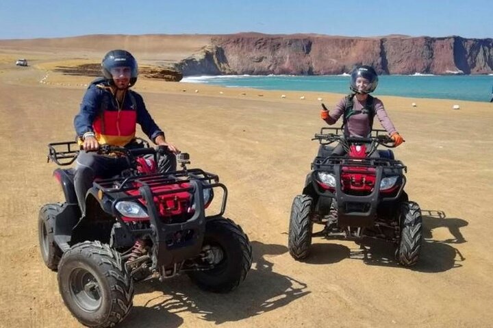Paracas: ATV/Quad Bike or Buggy on Paracas National Reserve