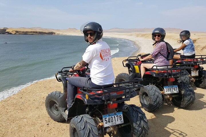 Paracas: ATV/Quad Bike or Buggy on Paracas National Reserve