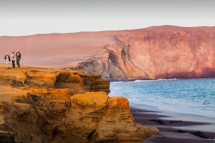 Paracas: ATV/Quad Bike or Buggy on Paracas National Reserve