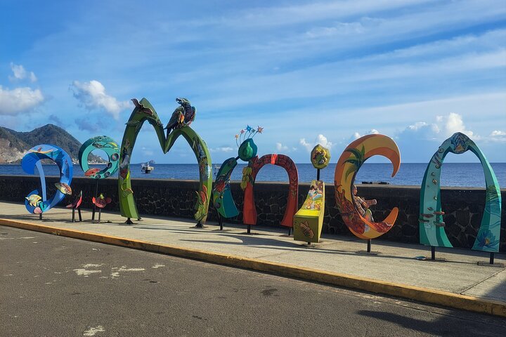 Scenic Tour of City and Rainforest, Waterfall, Sulphur Springs .