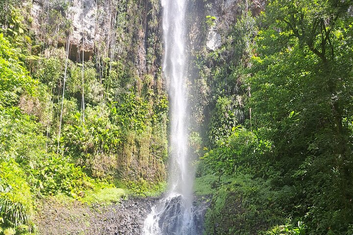 Scenic Tour of City and Rainforest, Waterfall, Sulphur Springs .