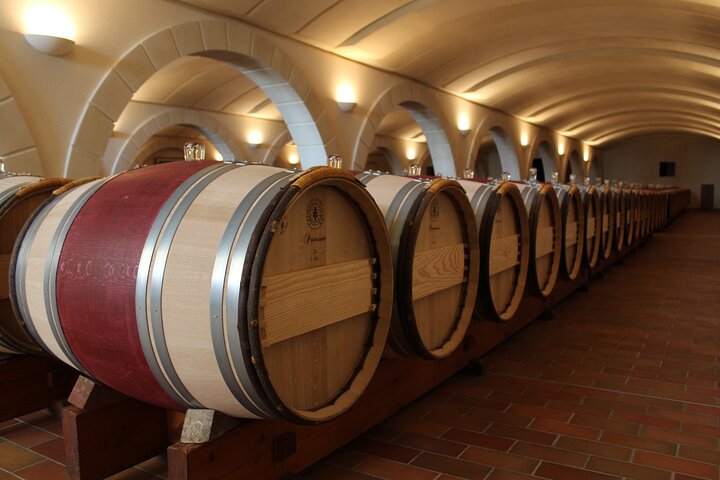 Saint-Émilion Wine Tour By Premium Electric Bike, Lunch Included