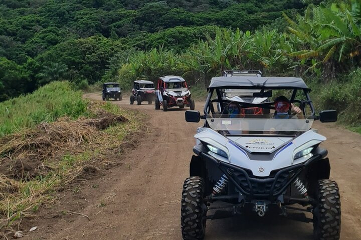 Sunny Blue Rentals in St Kitts for ATV and Dune Buggy Combo Tours