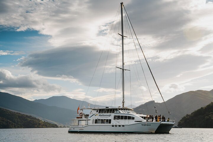Marlborough Sounds Greenshell Mussel Tasting Cruise