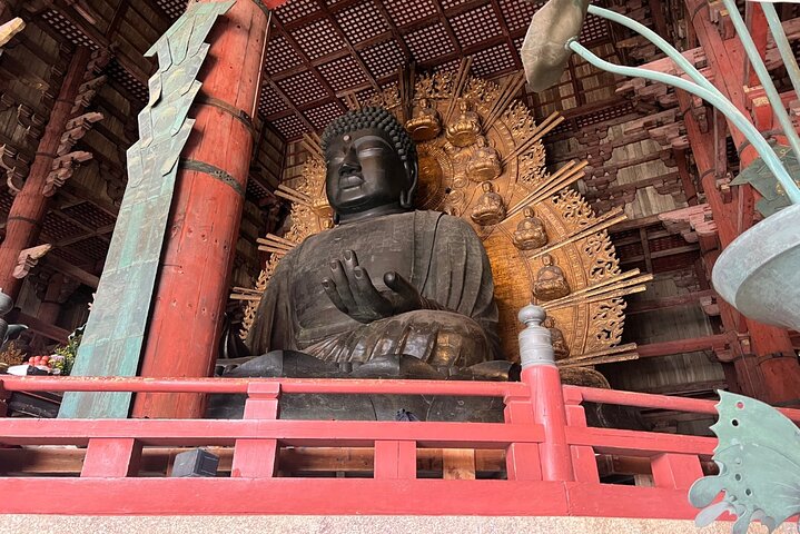 Nara Early Morning Tour Kyoto or Osaka Departure Available