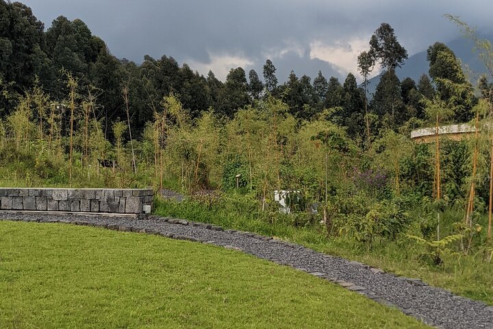 Full Day Private Golden Monkey Tour