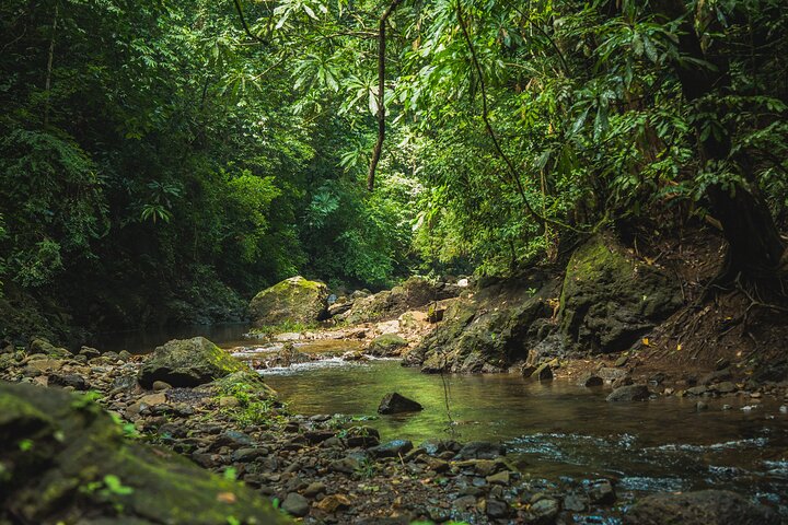 Panama City Visit an Indian town Embera and waterfall with lunch