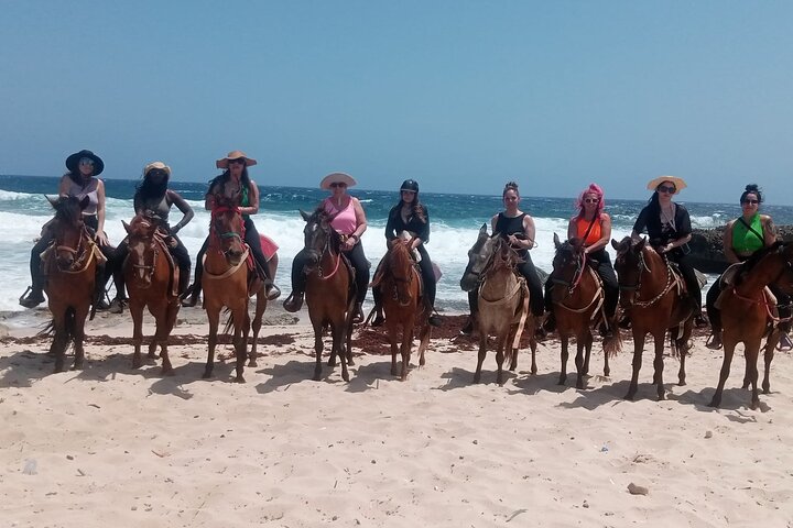 Aruba Ecological & Coastline Horseback Ride with Beach Photo Stop