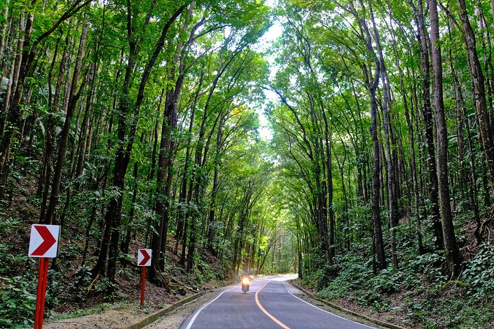 Bohol Countryside Tour from Cebu Loboc River Cruise with Lunch