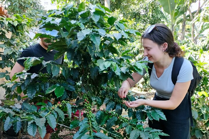 Coffee, Chocolate and Textile Tour in Lake Atitlan