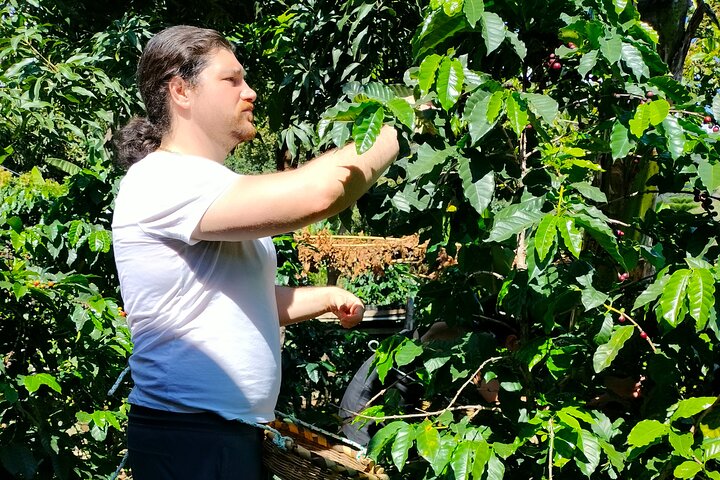 Coffee, Chocolate and Textile Tour in Lake Atitlan