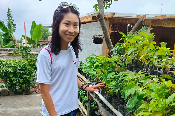 Coffee, Chocolate and Textile Tour in Lake Atitlan