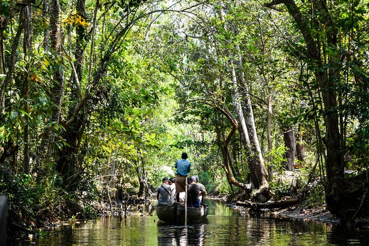 Full Day Backwater Village Punting Boat Cruise