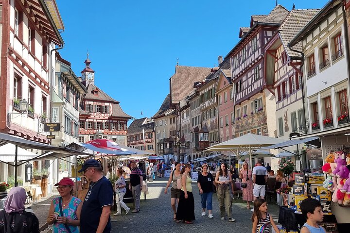 Rhine Falls and Stein am Rhein Half-Day Tour from Zurich