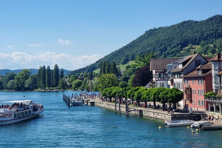 Rhine Falls and Stein am Rhein Half-Day Tour from Zurich