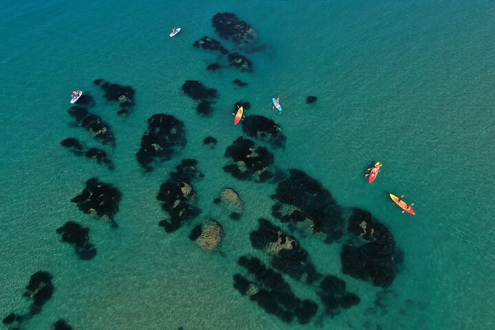 Kayak Tour: From Cala Manbrù to Torre Salsa Reserve