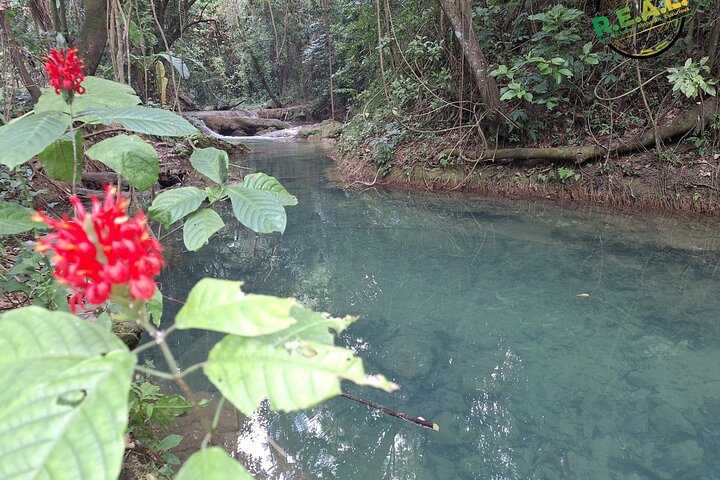 Maroon and Waterfall Adventure from Treasure Beach Jamaica
