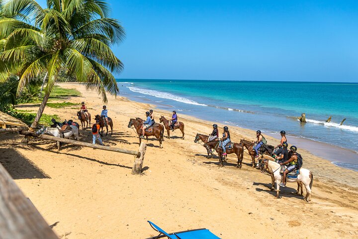 Luquillo Beach Horse Ride from Carabalí Rainforest Adventure Park