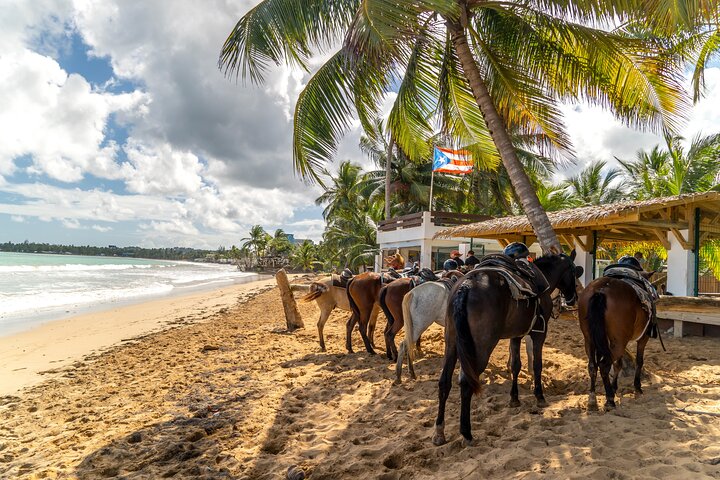 Luquillo Beach Horse Ride from Carabalí Rainforest Adventure Park