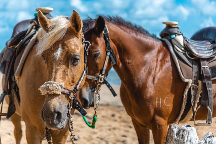 Luquillo Beach Horse Ride from Carabalí Rainforest Adventure Park