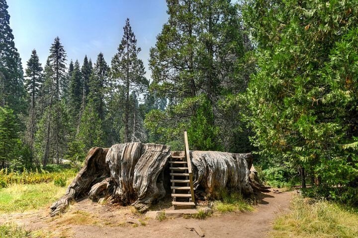 Self-Guided Audio Driving Tour in Sequoia and Kings Canyon