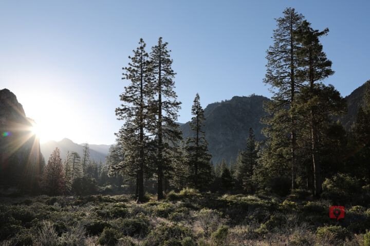 Self-Guided Audio Driving Tour in Sequoia and Kings Canyon