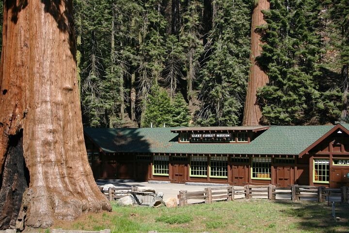 Self-Guided Audio Driving Tour in Sequoia and Kings Canyon