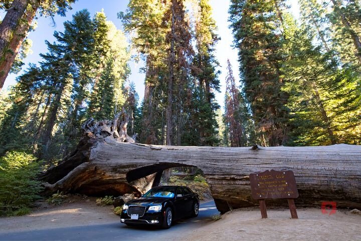Self-Guided Audio Driving Tour in Sequoia and Kings Canyon