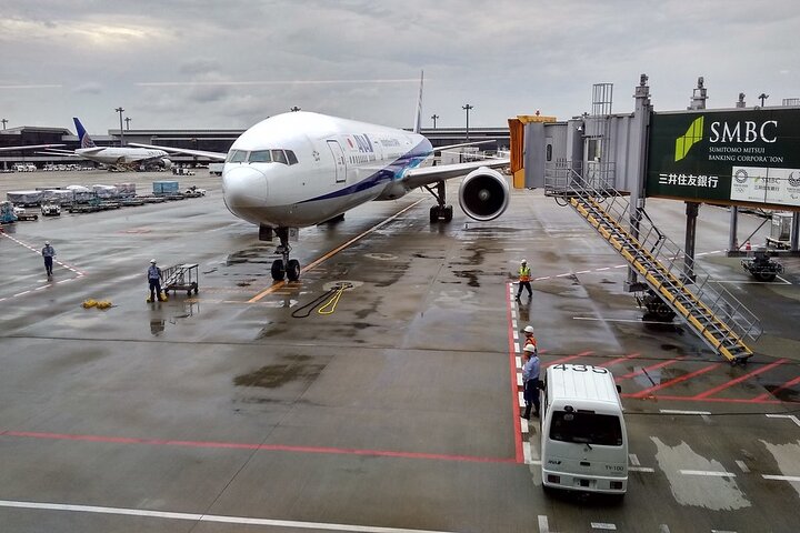 Airport transfer between Narita and Mount Fuji or Hakone Onsen