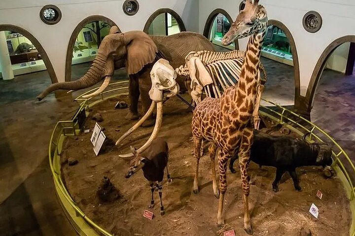 Nairobi Museum, KICC Tower, Kobe Beads , Bomas Cultural Dances
