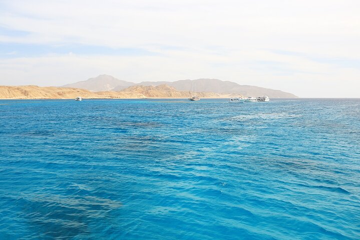 Ras Mohammed & White Island: Snorkel, Optional Dive & Lunch