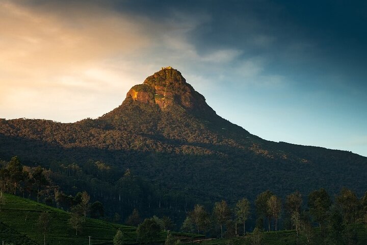 Adams Peak to Colombo Airport Departure Transfer