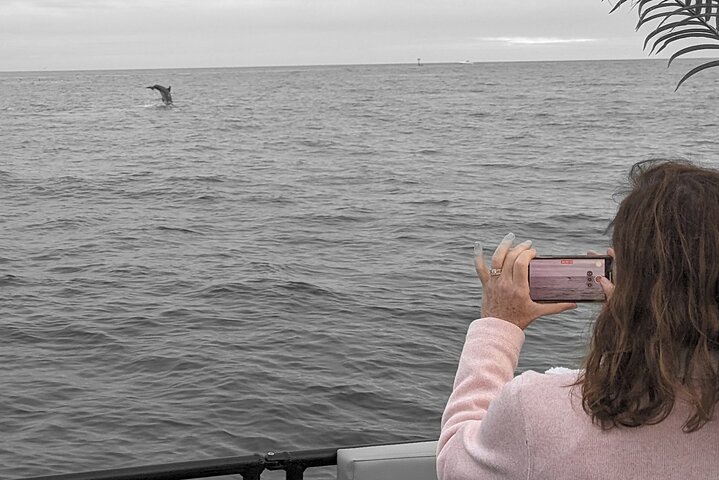 2 hour Tiki Pub Sensational Dolphin Sunset Cruise (Adults only)