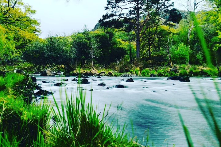 Guided Tour The Ring of Kerry, Skellig Ring and Valencia Island