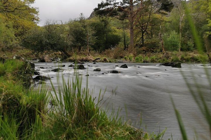 Guided Tour The Ring of Kerry, Skellig Ring and Valencia Island