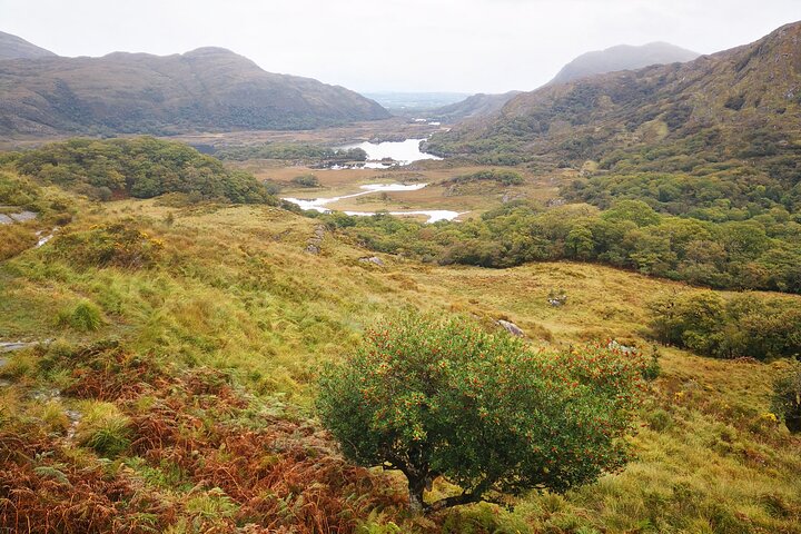 Guided Tour The Ring of Kerry, Skellig Ring and Valencia Island
