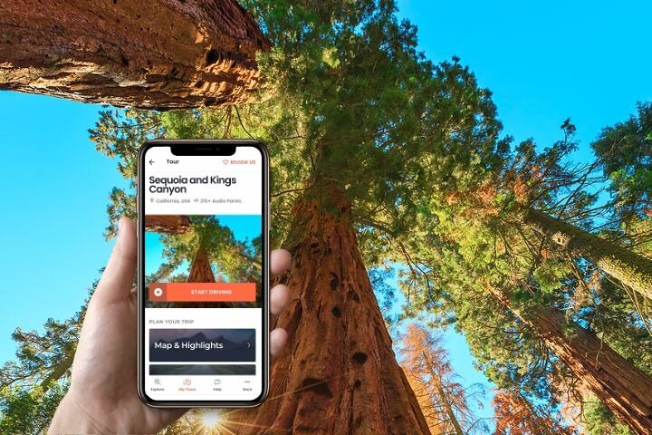 Self-Guided Audio Driving Tour in Sequoia and Kings Canyon